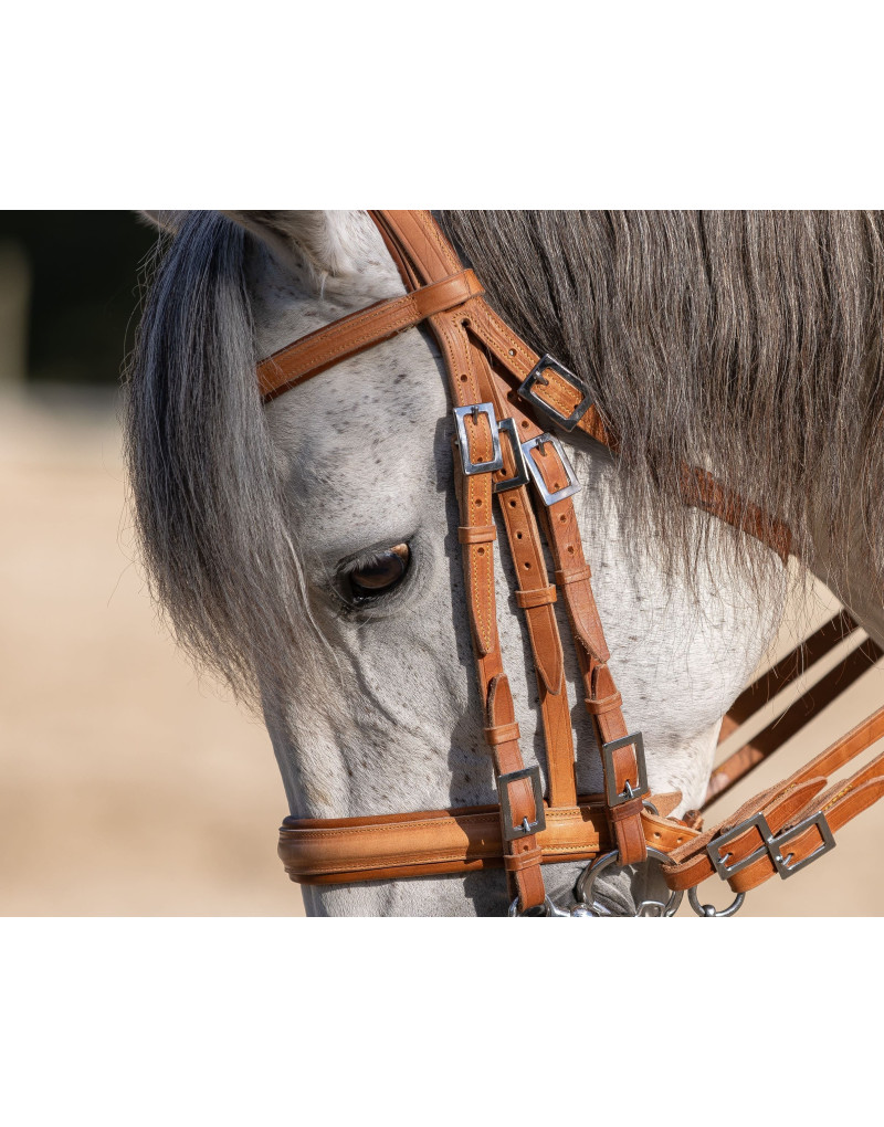 Cabezada Mixta Bocado&Filete VALORIS