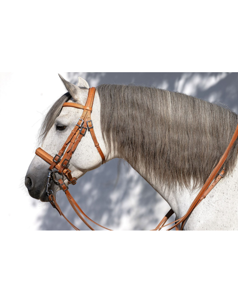 Cabezada Mixta Bocado&Filete VALORIS