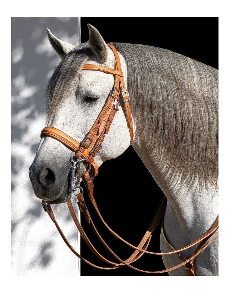 Cabezada Mixta Bocado&Filete VALORIS