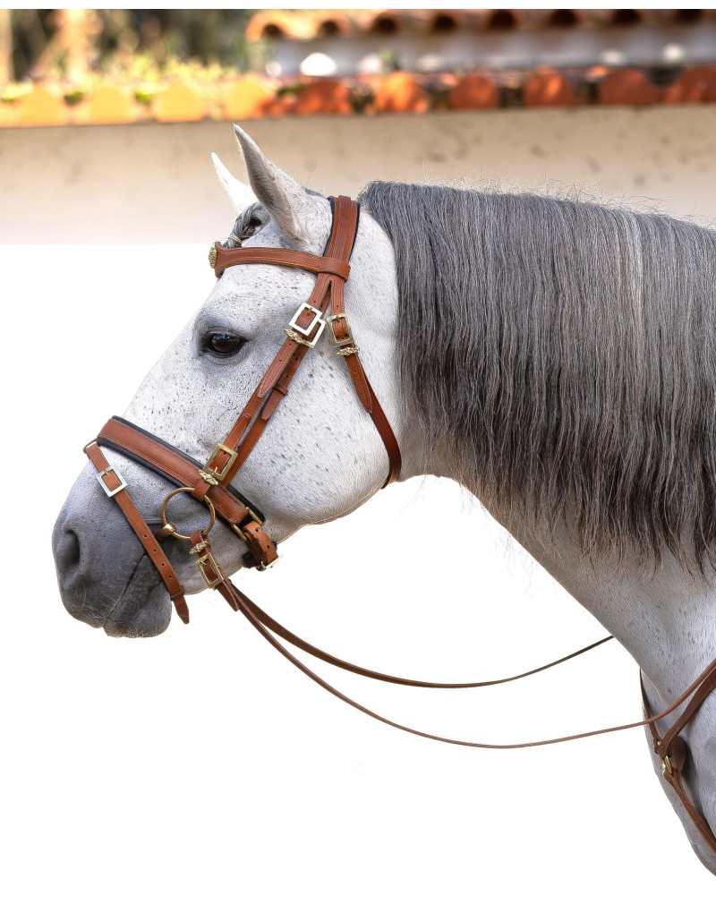 REGALIS Snaffle Bridle