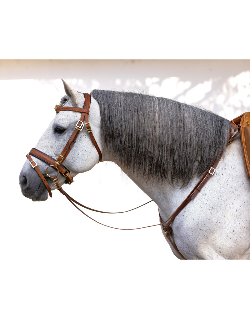 REGALIS Snaffle Bridle