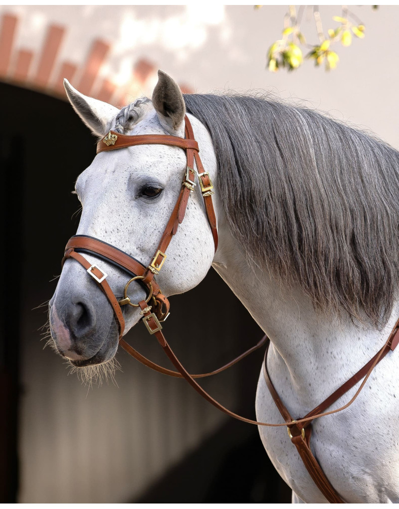 REGALIS Snaffle Bridle