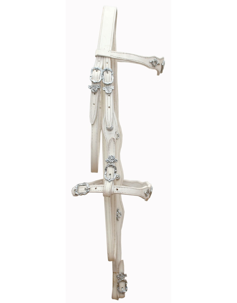 Cabezada de Media Cortesía LUCENDI