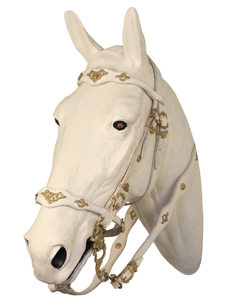 Half-Courtesy Bridle LUCENDI