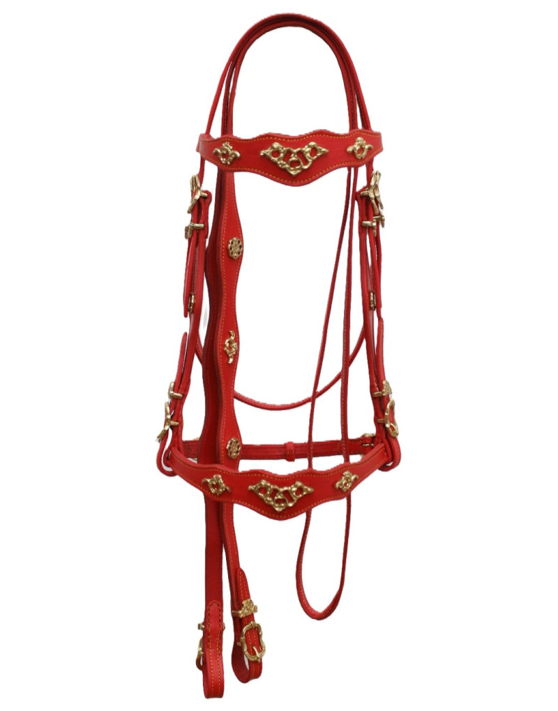 Half-Courtesy Bridle RED