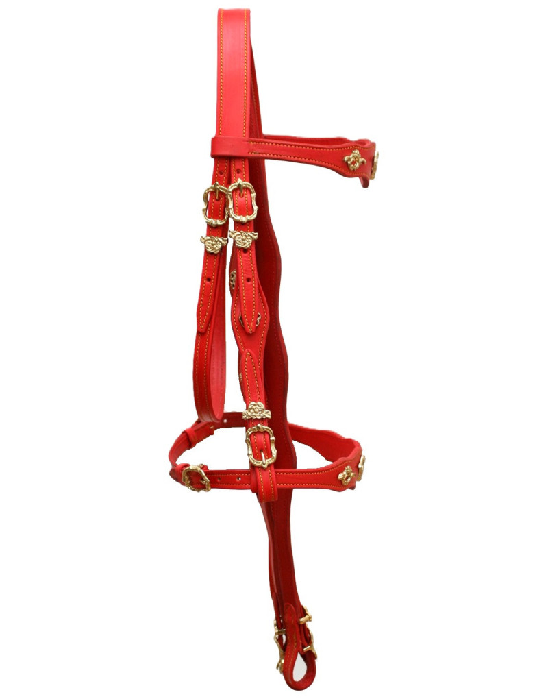 Half-Courtesy Bridle RED