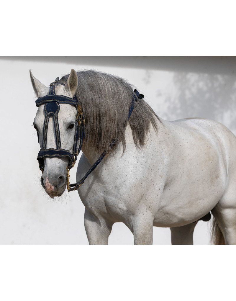 VICTORIUM Bridle