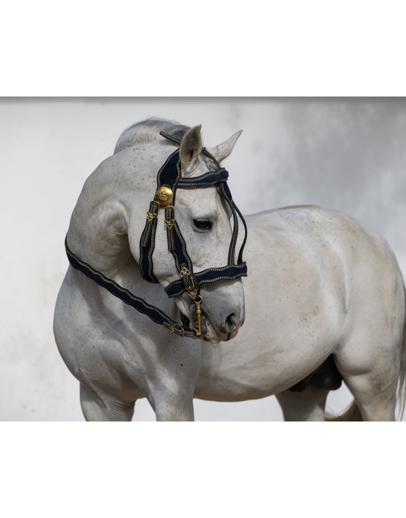 VICTORIUM Bridle