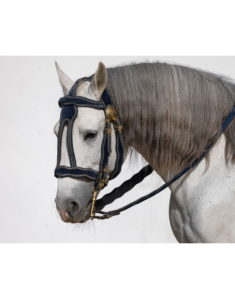 VICTORIUM Bridle