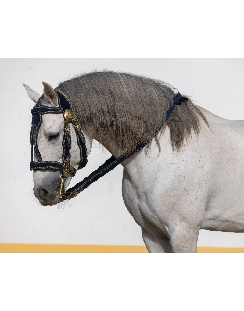 VICTORIUM Bridle