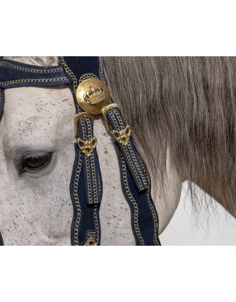 VICTORIUM Bridle
