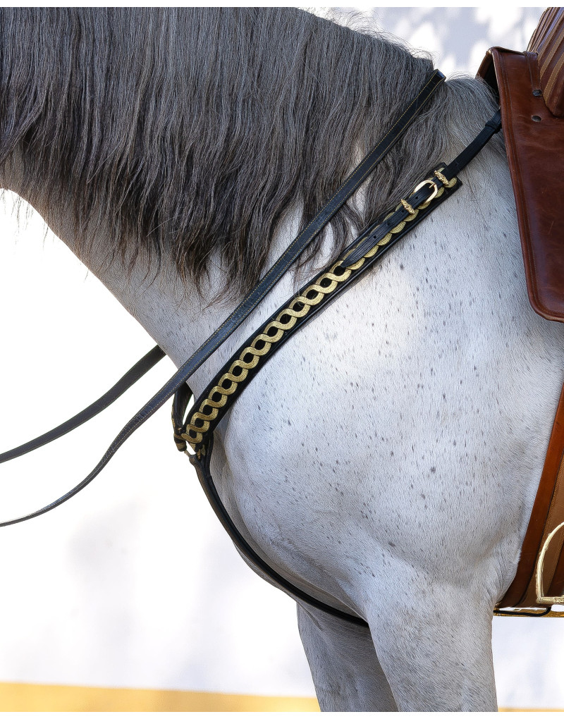 Collier de Chasse PRESTIS