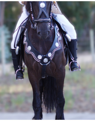 Colliers de Chasse de Courtoisie IMPERIALIS