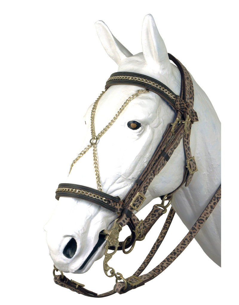 AFRIKA bridle