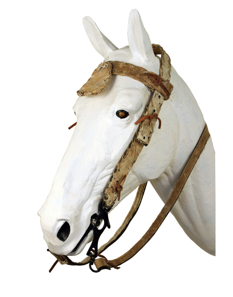 MEDIEVAL Bridle