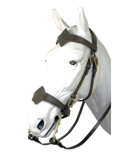 IASPIS Bridle