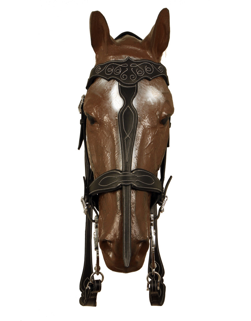 GLADIADOR Bridle