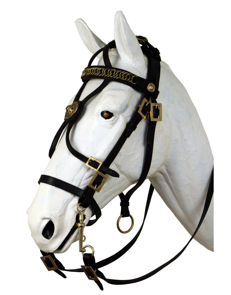 STRATOS Bridle