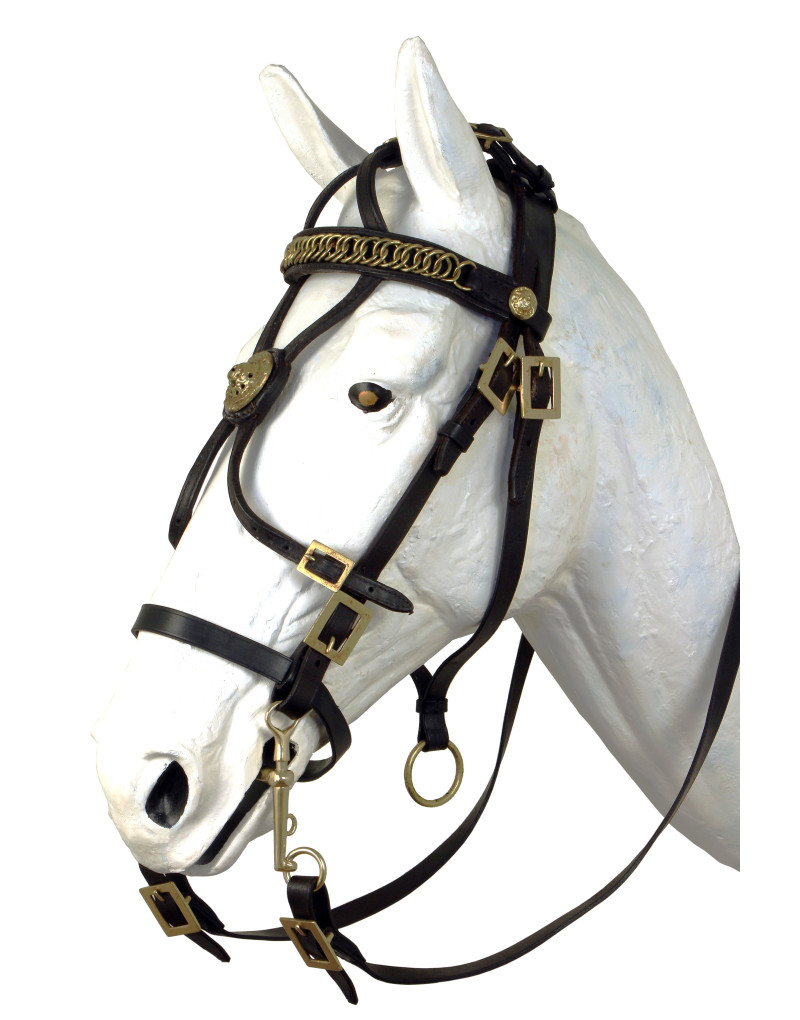 STRATOS Bridle
