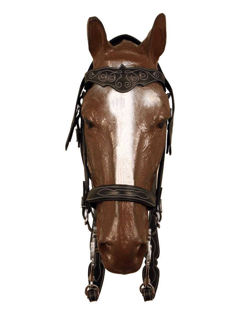 REGENTIS Bridle