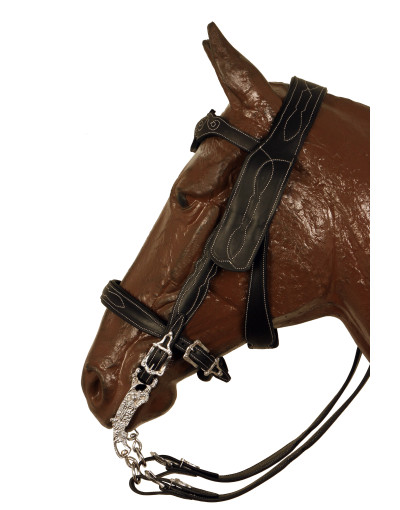 REGENTIS Bridle