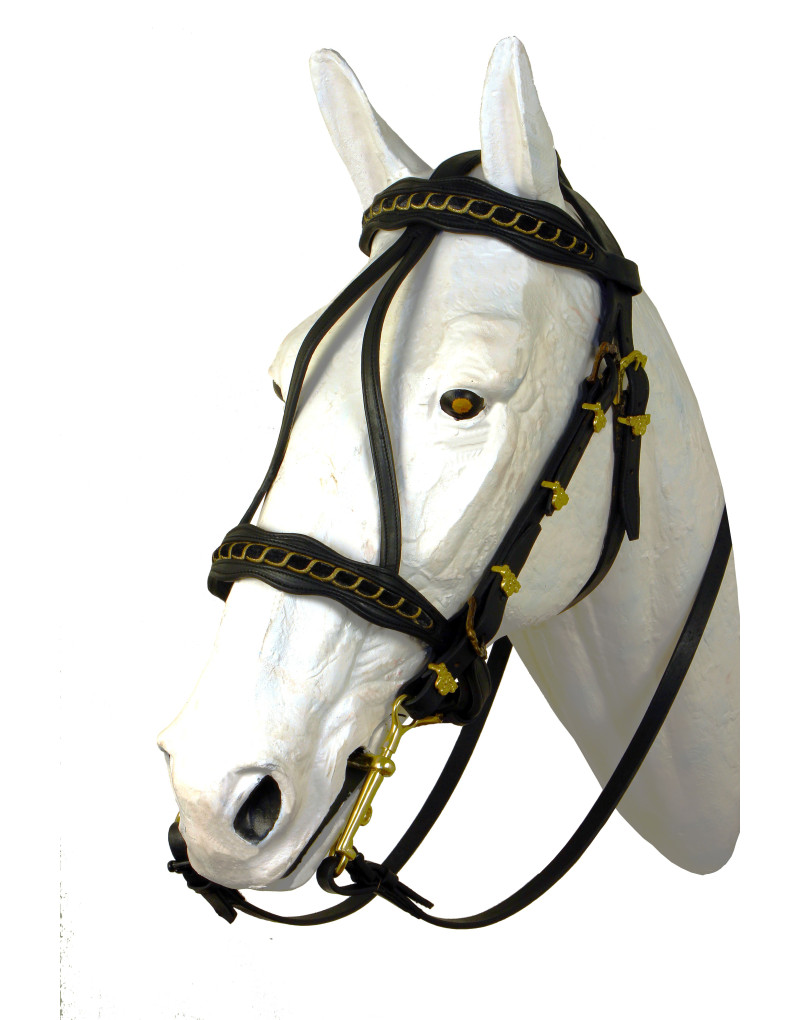 PRIMORIS Bridle