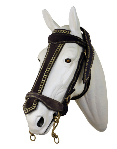 PERSIA Bridle