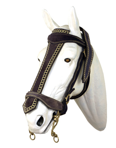 PERSIA Bridle
