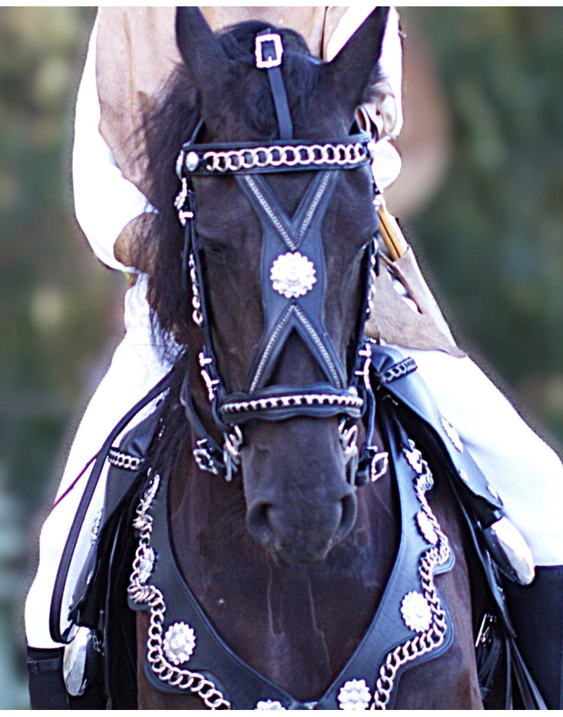 Bride de Courtoisie IMPULSUS