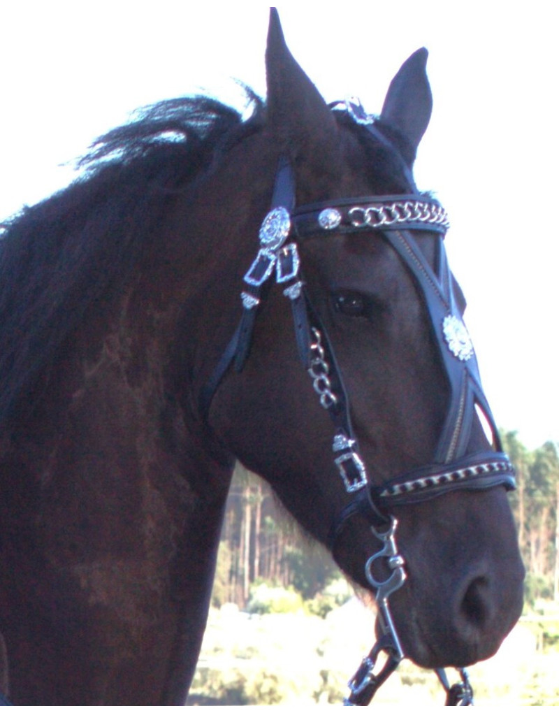 Bride de Courtoisie IMPULSUS