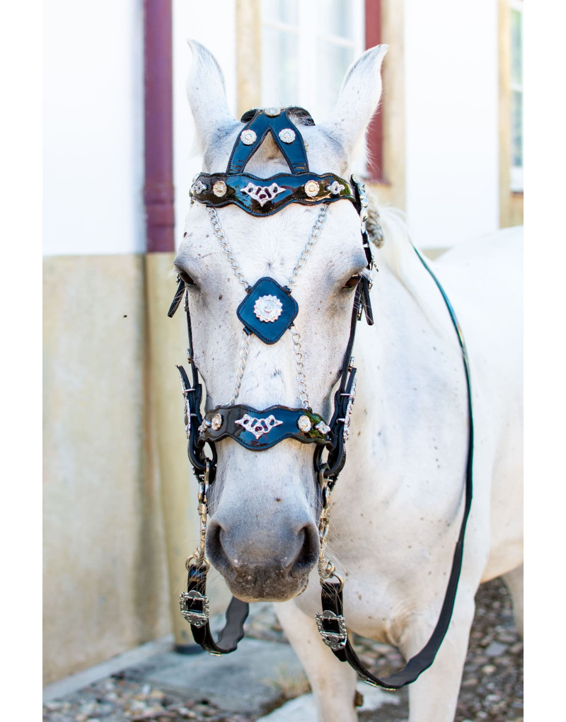 IMPERIALIS Courtesy Bridles
