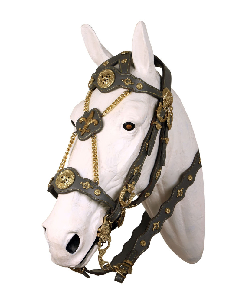 IMPERIALIS Courtesy Bridles