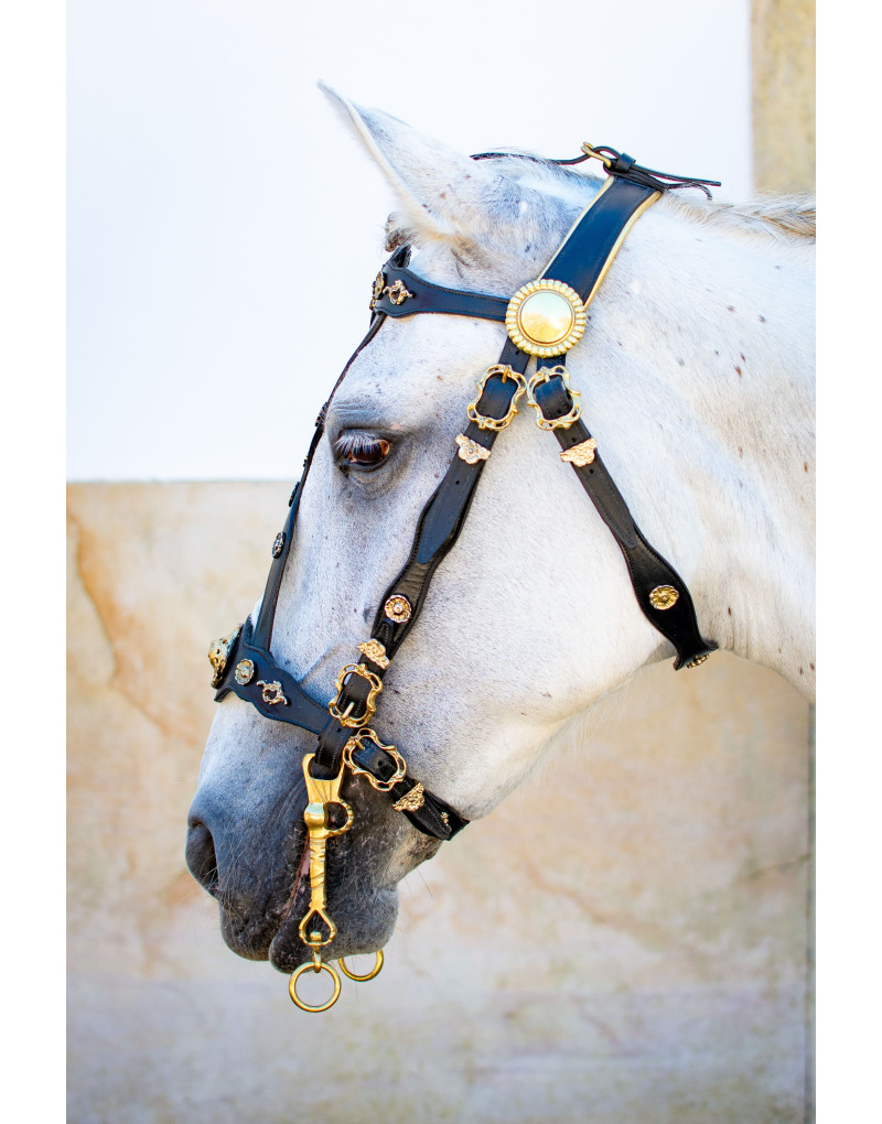 Cabeçada Cortesia MAJESTICUS