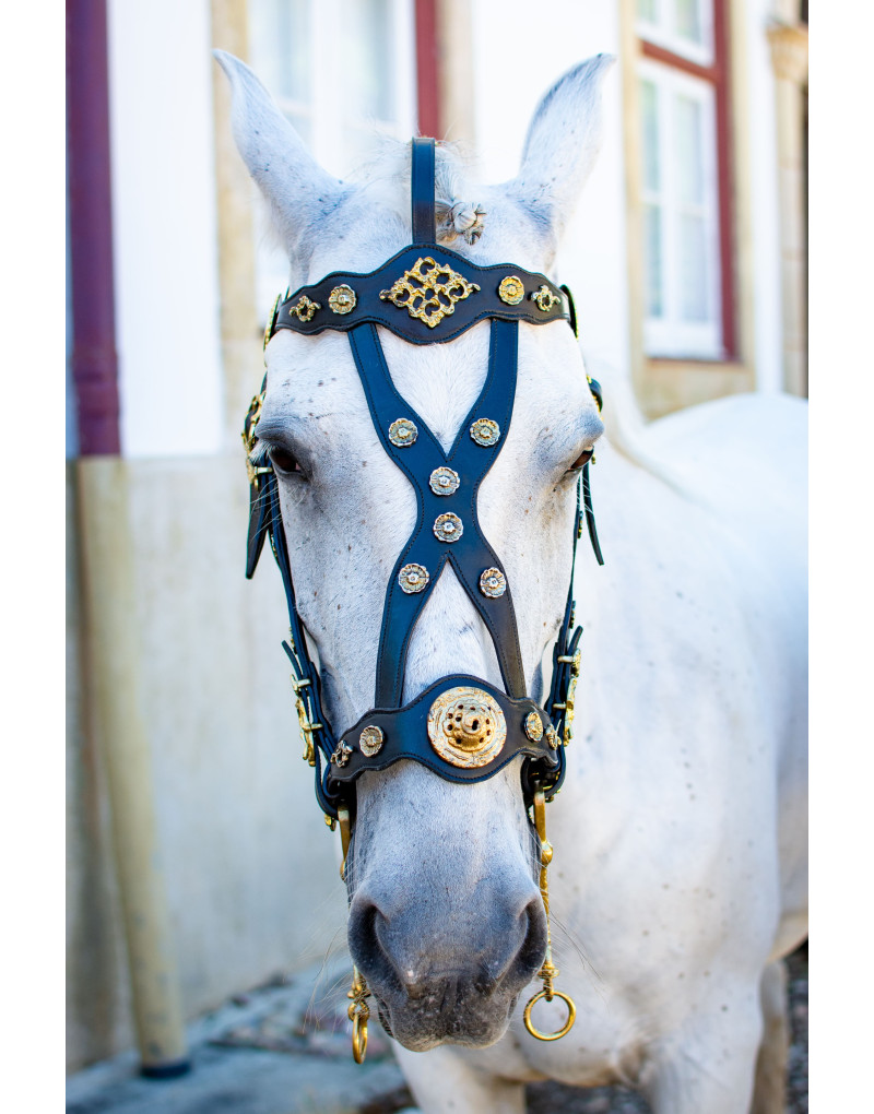 Courtesy Bridle MAJESTICUS