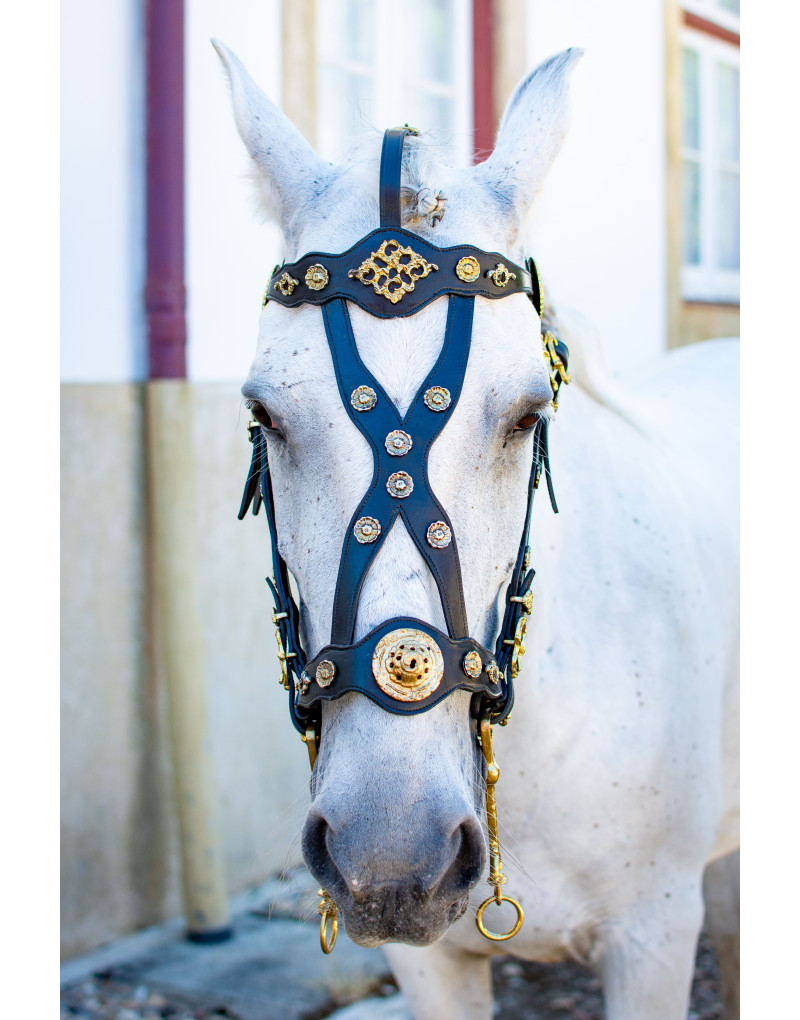 Courtesy Bridle MAJESTICUS
