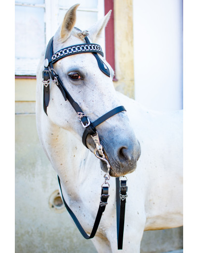 Cabeçada Cortesia EMINENTIA