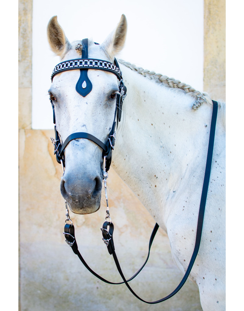 Cabezada de Cortesía EMINENTIA