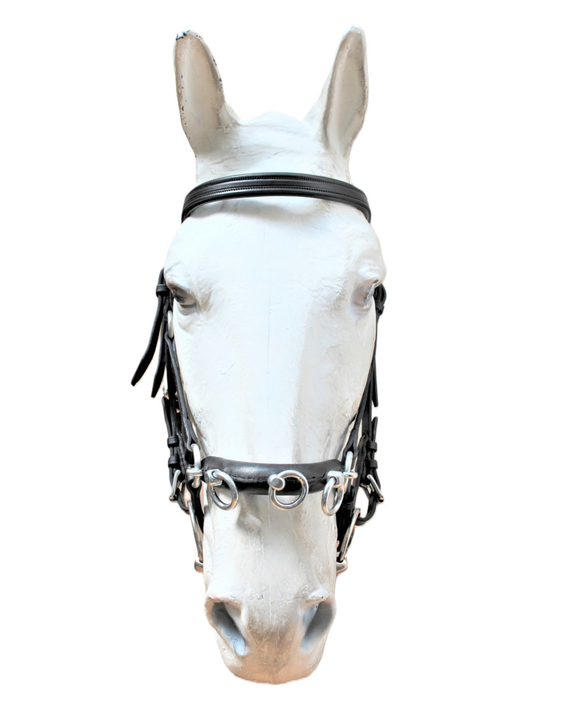 Serrilhão BENEDICTUS