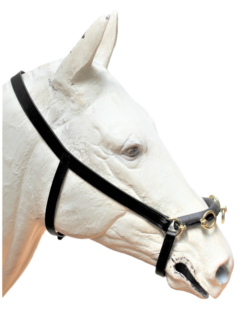 Cabezada de Serreta HONORIS