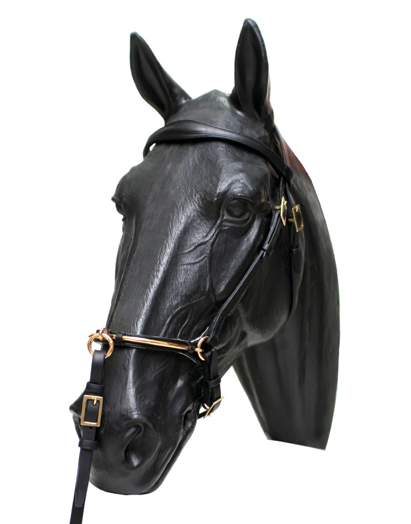 Cabezada de Serreta POTENTIS