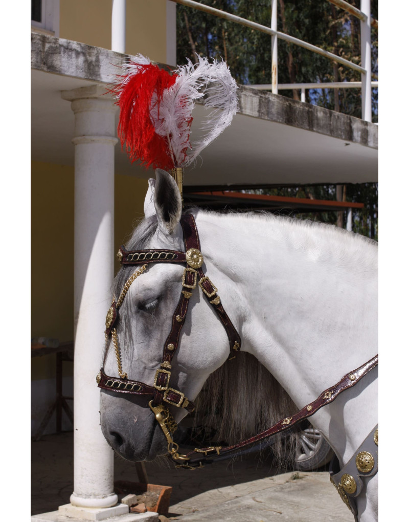 Brides de Courtoisie IMPERIALIS V2