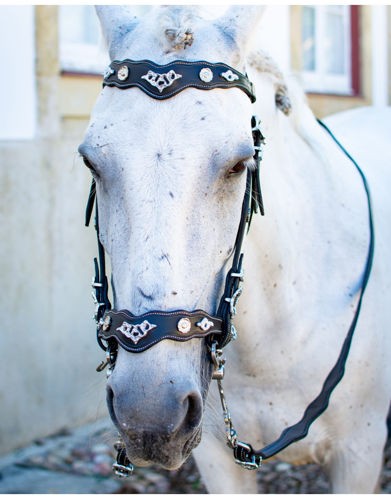 Cabeçada Meia Cortesia ULTIMUS