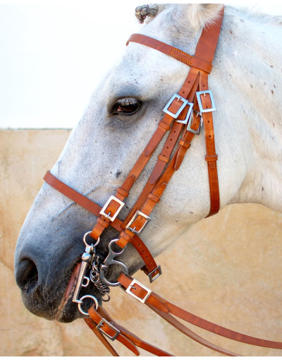Cabezada de Bocado&Filete INCEPTA