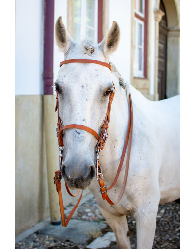 Cabezada de Bocado&Filete INCEPTA