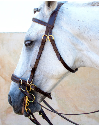 VERUS Bridle With or Without Bit