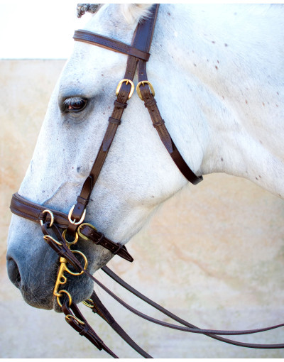 VERUS Bridle With or Without Bit