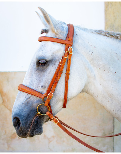 Cabeçada Mista Alemã VECTIS