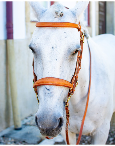 Cabeçada Mista Alemã VECTIS