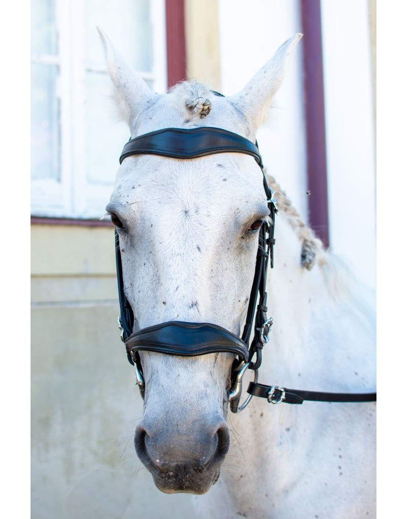 Cabeçada Mista Alemã BREVITAS
