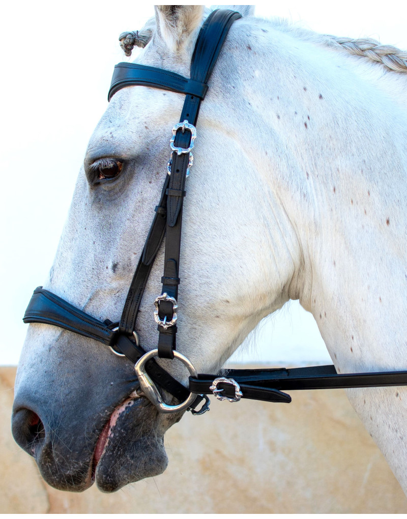 Cabeçada Mista Alemã BREVITAS
